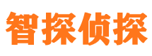 黄梅市场调查